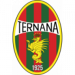 Ternana W team flag