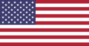 USA team flag