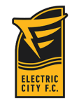 Electric City Shock team flag