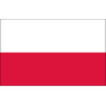 Poland team flag