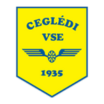 Cegledi VSE team flag
