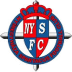 Nyiregyhaza team flag