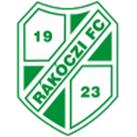 Kaposvar team flag