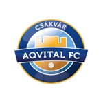 Csakvar team flag