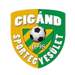 Cigand SE team flag