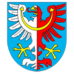 Milin team flag