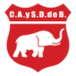 Defensores de Belgrano VR team flag