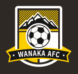 Wanaka team flag