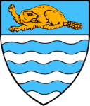 Beverley Town team flag