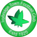 Ivybridge Town team flag