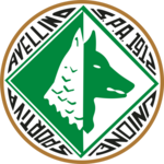 Avellino U19 team flag