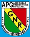 Guarda team flag