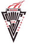 San Viator team flag