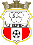 Briviesca team flag