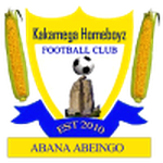 Homeboyz team flag