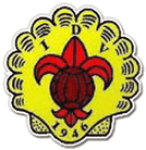 Vieirense team flag