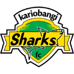 Kariobangi Sharks team flag