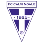 Calvi Noale team flag