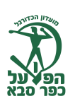 Kfar Saba 1928 team flag