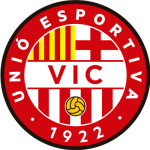 Vic team flag