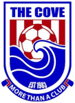 The Cove team flag