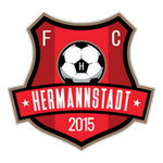 AFC Hermannstadt team flag