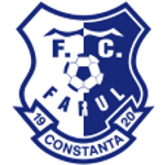 Farul Constanta team flag