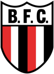 Botafogo SP team flag