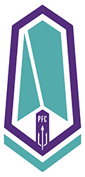 Pacific FC team flag
