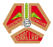 Correlhã team flag