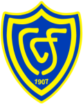 Conegliano team flag