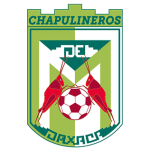 Chapulineros team flag