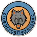 Neza team flag