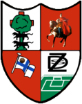 Zamudio team flag