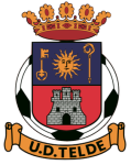 Telde team flag
