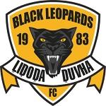Black Leopards team flag