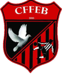 CFFEB team flag