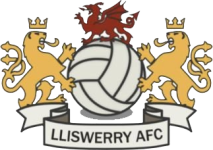 Lliswerry team flag