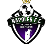 Napoles team flag