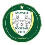Amawele team flag