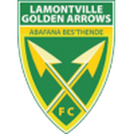 Golden Arrows team flag
