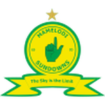 Mamelodi Sundowns team flag