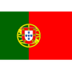 Portugal team flag