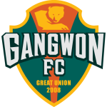 Gangwon FC team flag