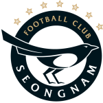 Seongnam FC team flag