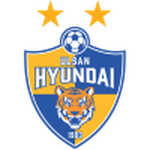 Ulsan Hyundai FC team flag