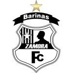 Zamora FC team flag
