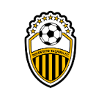 Deportivo Tachira FC team flag