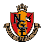 Nagoya Grampus flag