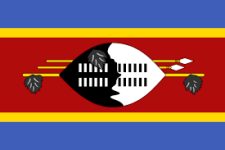 Eswatini team flag